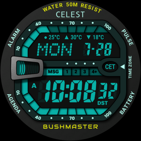 CELEST5580 Retro Digital Watch + Watch Face Preview